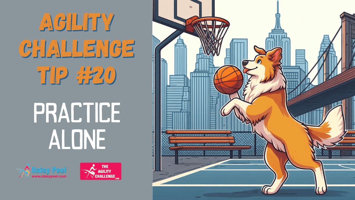 Agility Challenge Tip #20 - Practice Alone - Daisy Peel